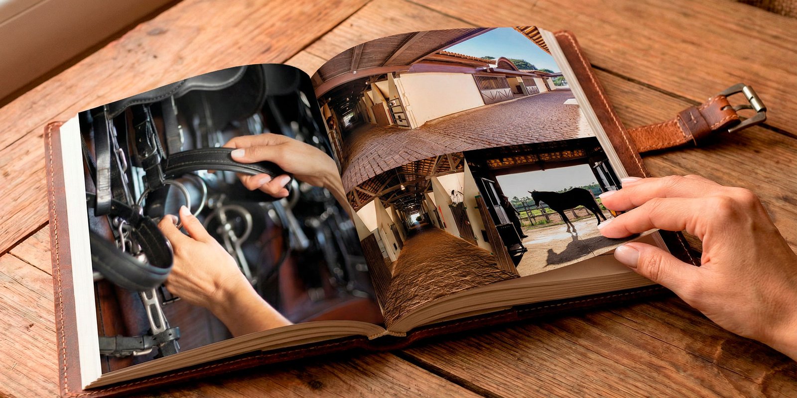 livro_haras_larissa-11