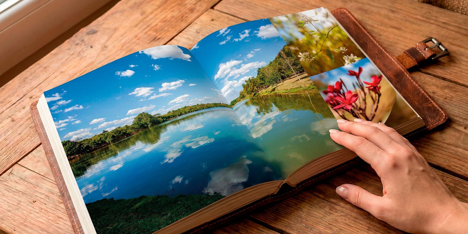 livro_haras_larissa-6