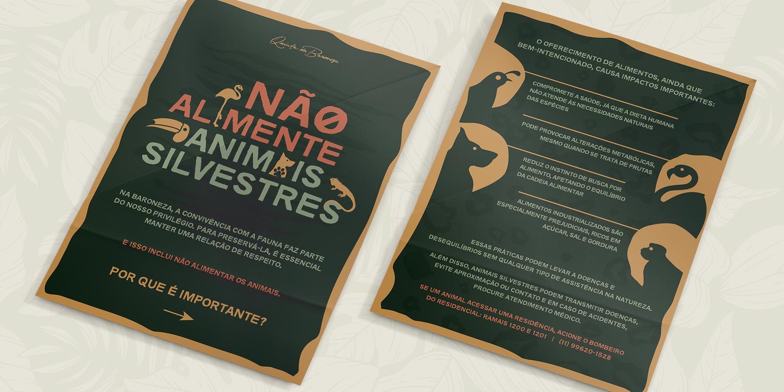 Animais-Selvagens_folhetoA5